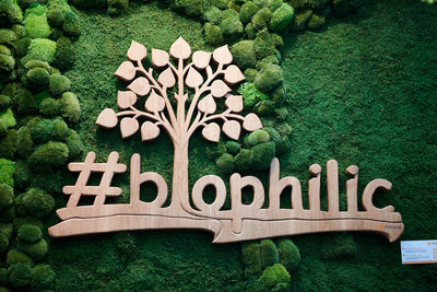 Der Biophilic-Trend – Wie Natur in unserem Alltag eine immer größere Rolle spielt