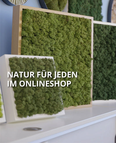 Super günstig: Neue Bilder bei Freund Greenliving!