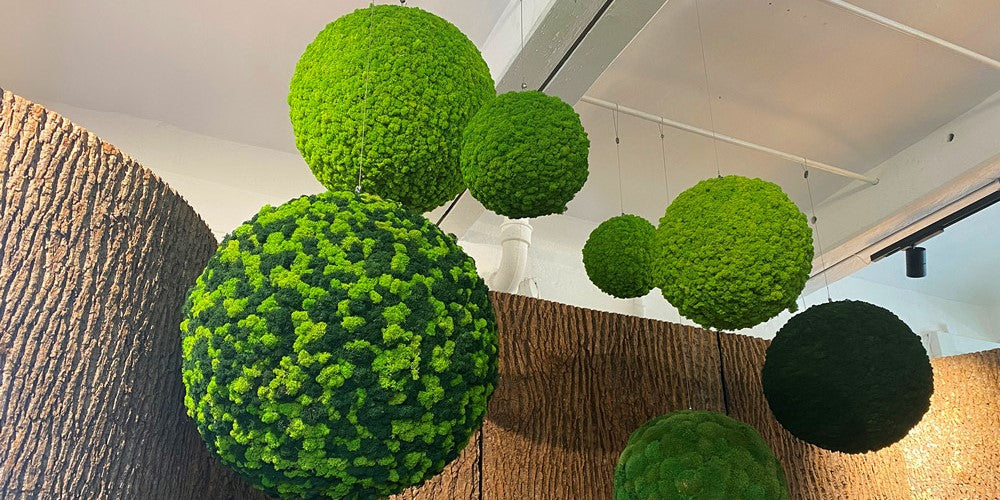 Besondere Einzelstücke