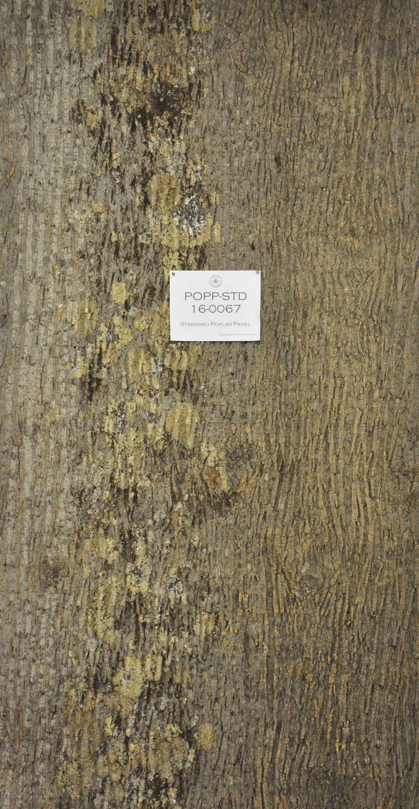 Baumrinde Pappelpaneel STD-16-0067