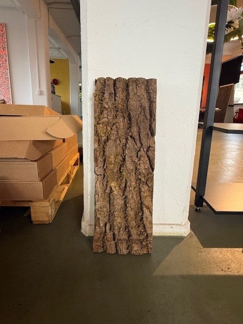 Pappelbaumrinde "Drachenhaut"