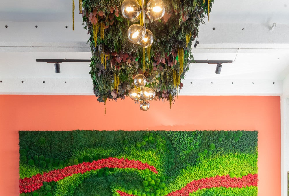 Deckensegel Jungle mit Leuchten