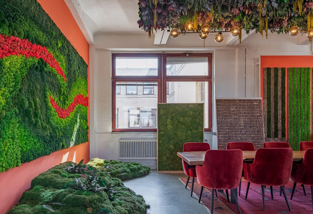 Deckensegel Jungle mit Leuchten