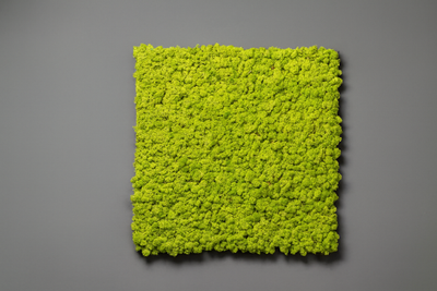 Moospaneel 60x60 cm - apfelgrün