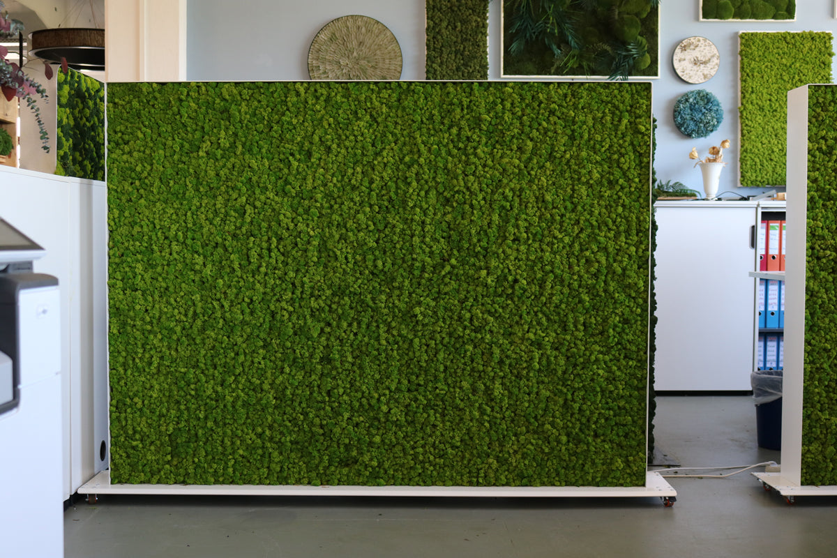 Raumteiler Islandmoos 160 x 200 cm auf Rollen