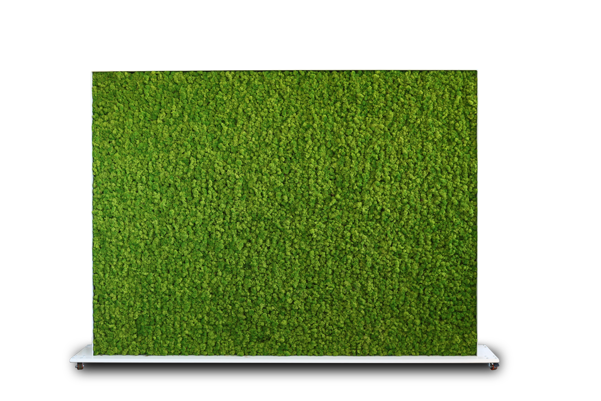 Raumteiler Islandmoos 160 x 200 cm auf Rollen