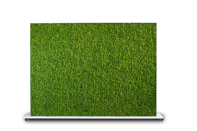 Raumteiler Islandmoos 160 x 200 cm auf Rollen