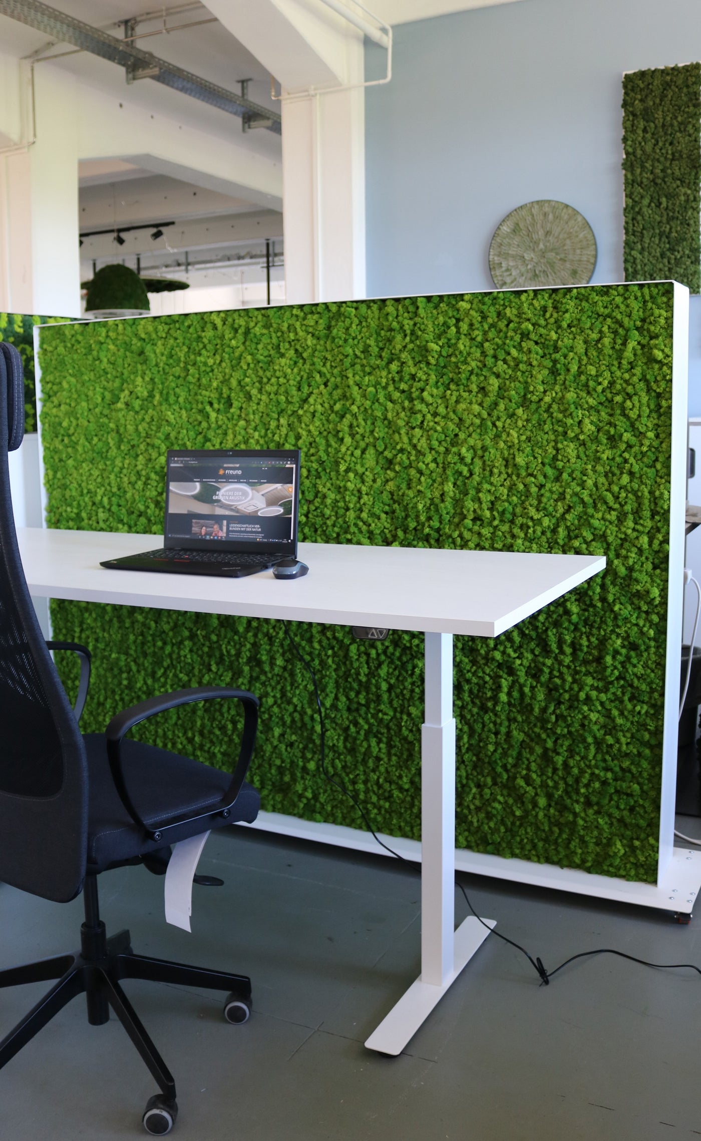 Raumteiler Islandmoos 160 x 200 cm auf Rollen