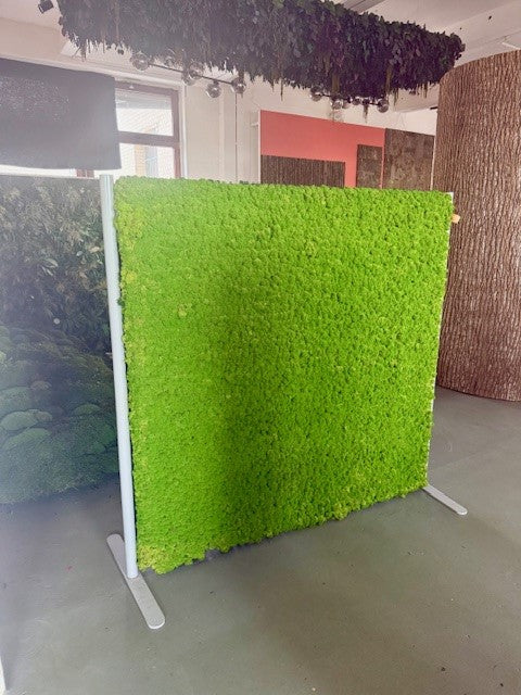 Raumteiler Islandmoos 150x150cm