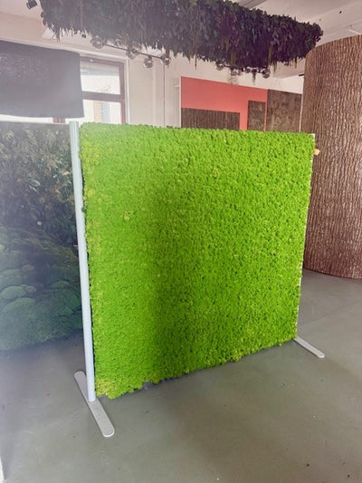 Raumteiler Islandmoos 150x150cm