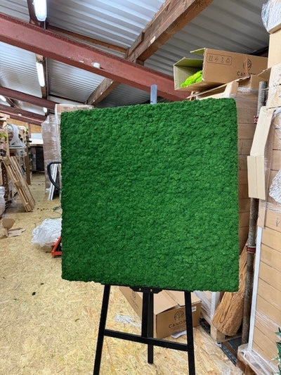 Moosbild Islandmoos XXL