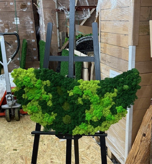 Moosbild-Duo "Halbmond"