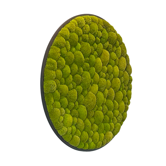 Hügelmoos ohne Rahmen - rund