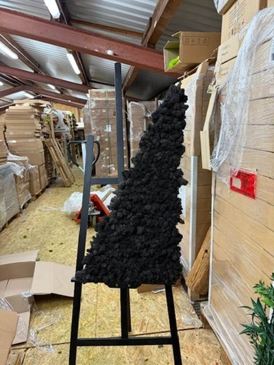 Moosbild schwarzes Dreieck