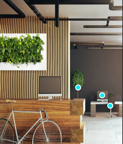 Pflanzenbild "Blumentopf"