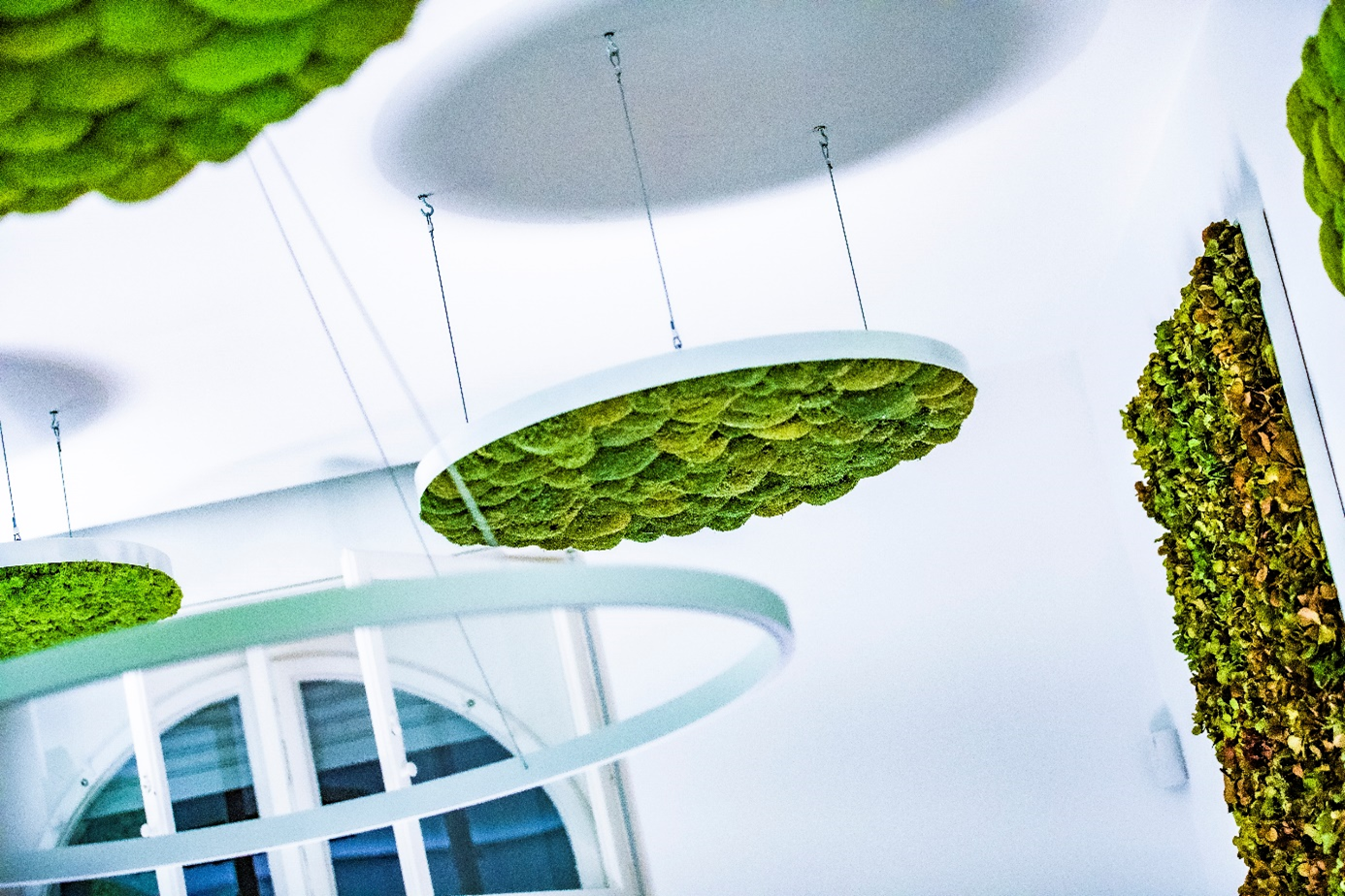 Deckensegel Polstermoos