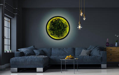 Evergreen Nebula mit Leuchtrahmen Ø 1,40m