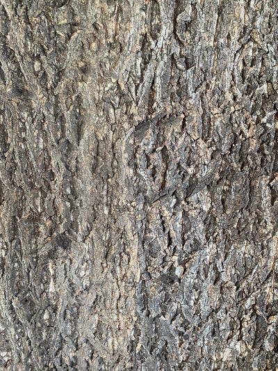 Premium Rindenkorkplatte für DIY-Projekte