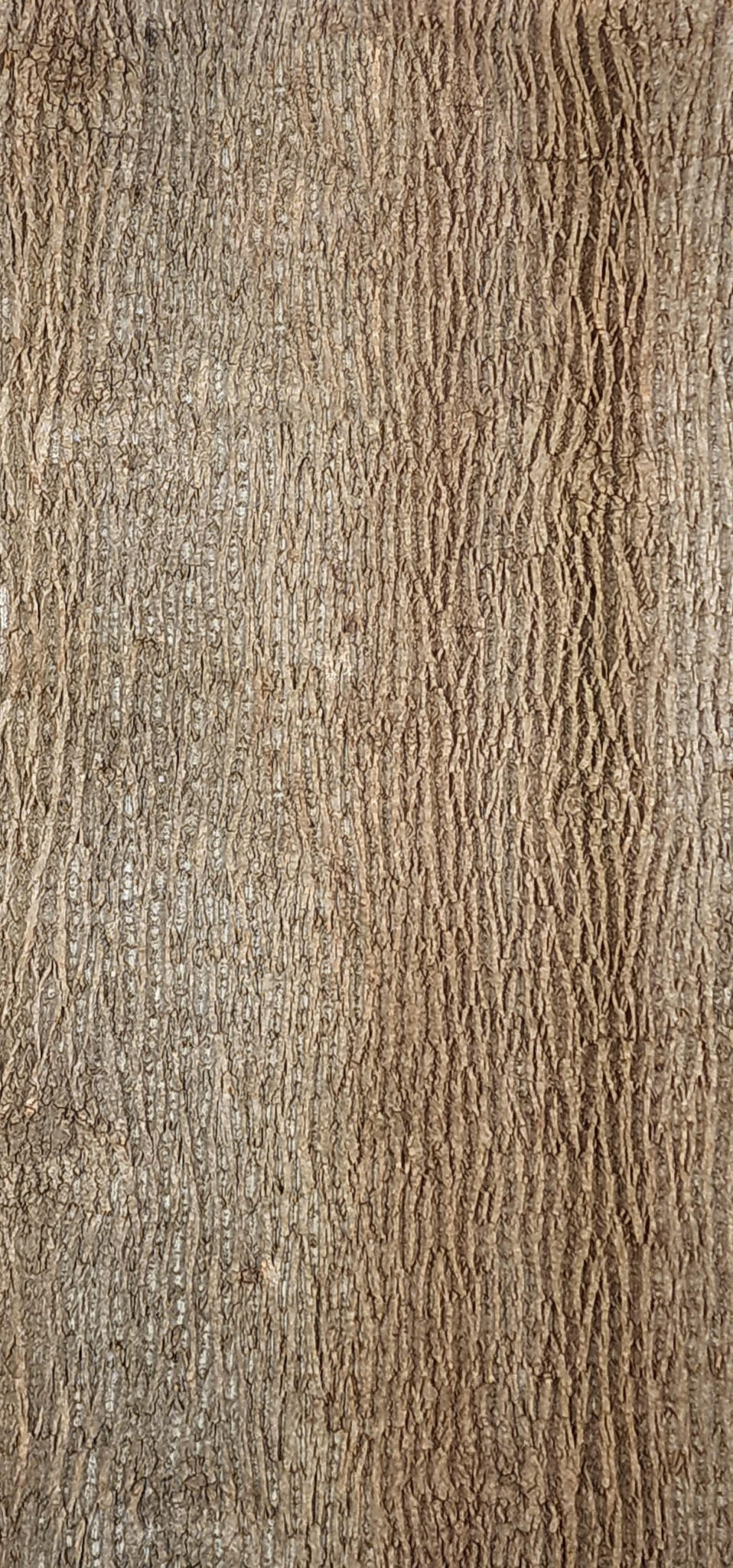 Baumrinde Pappelpaneel PRE-22-0041