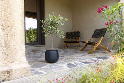 Pottery Pots - Kevan M Black