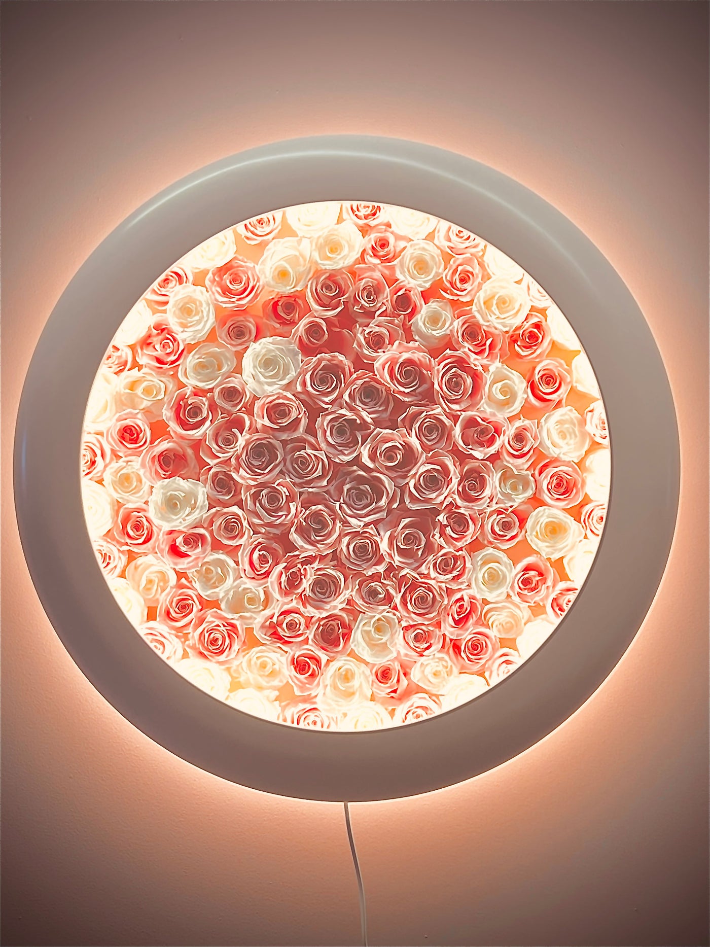 Rosenbild mit Leuchtrahmen