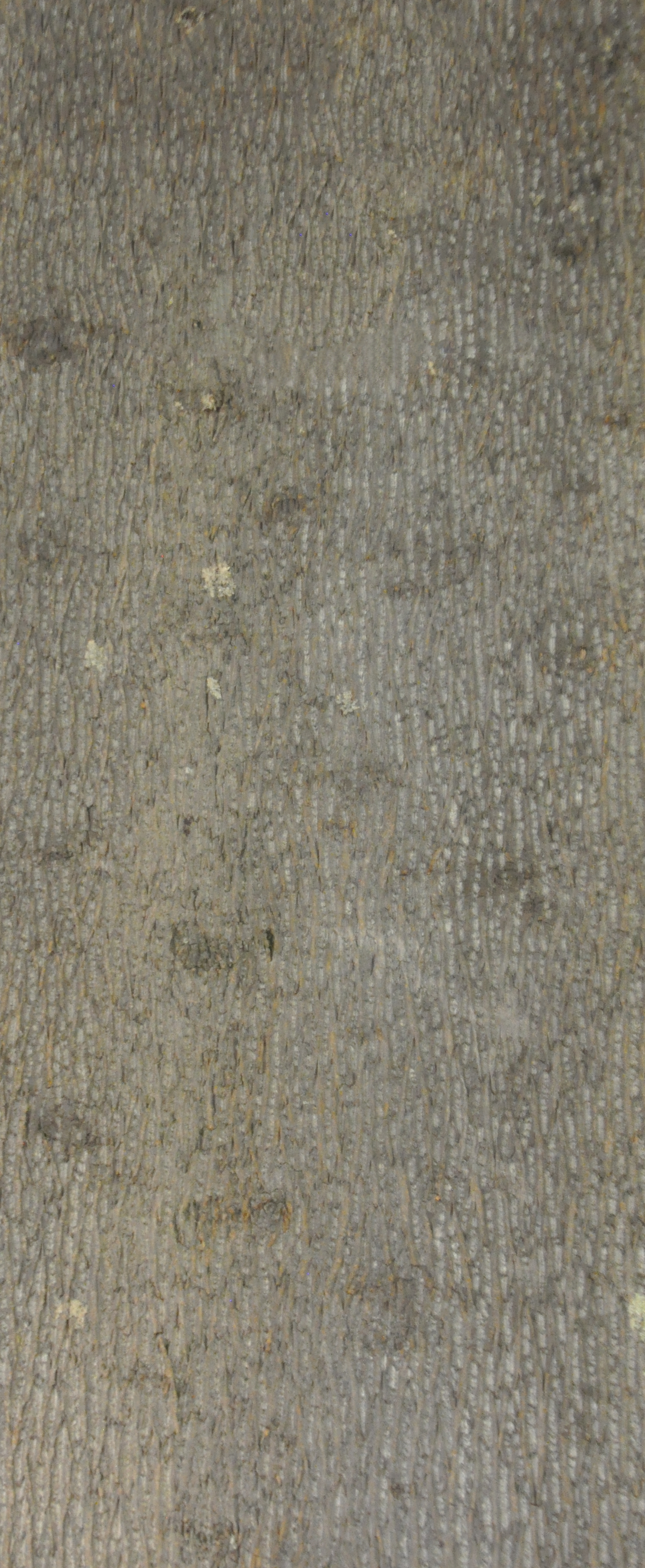 Baumrinde Pappelpaneel STD-22-0125