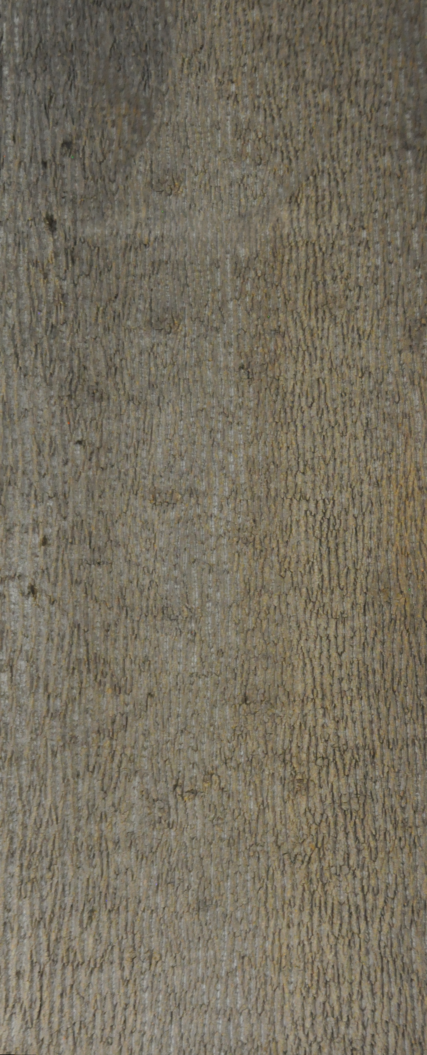 Baumrinde Pappelpaneel STD-22-0126