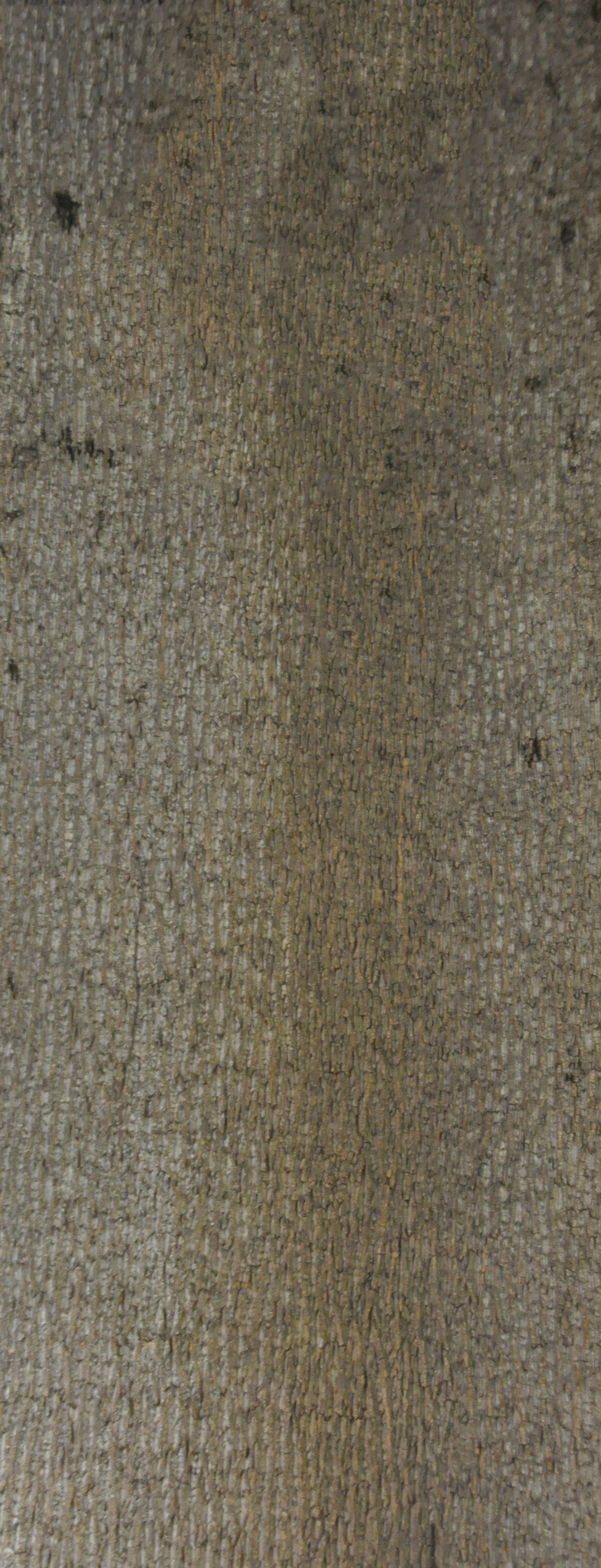 Baumrinde Pappelpaneel STD-22-0127