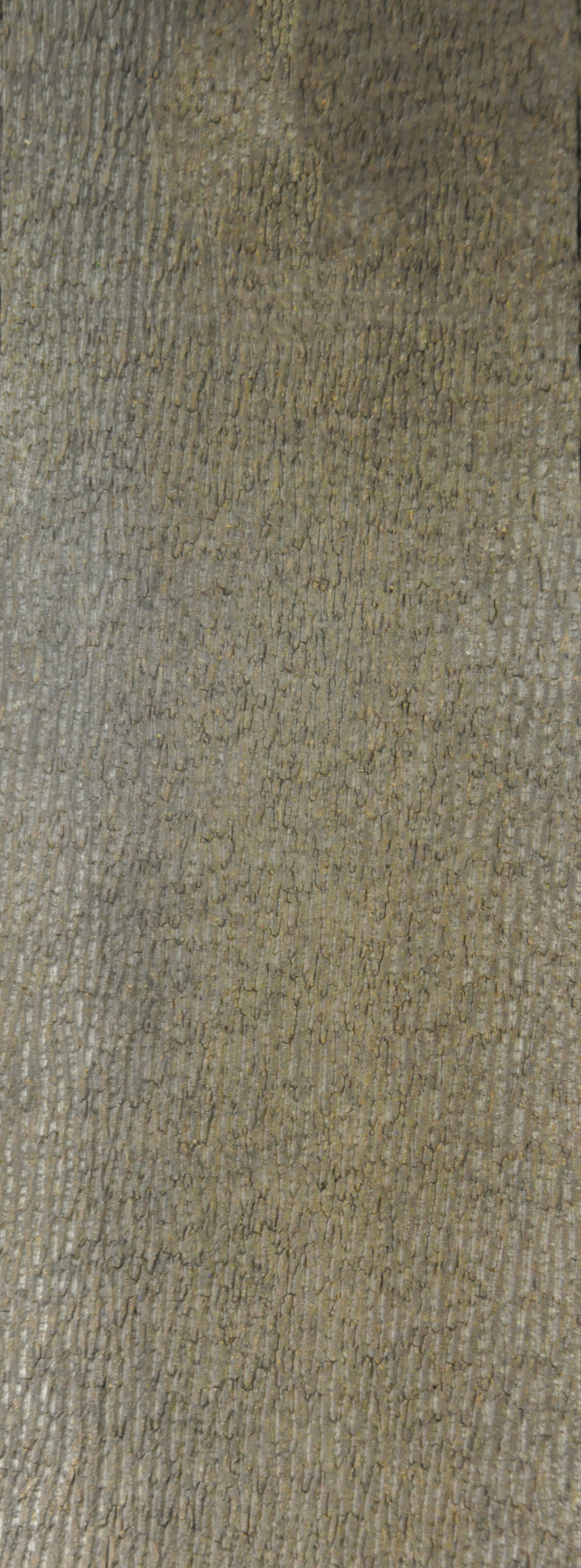 Baumrinde Pappelpaneel STD-22-0133