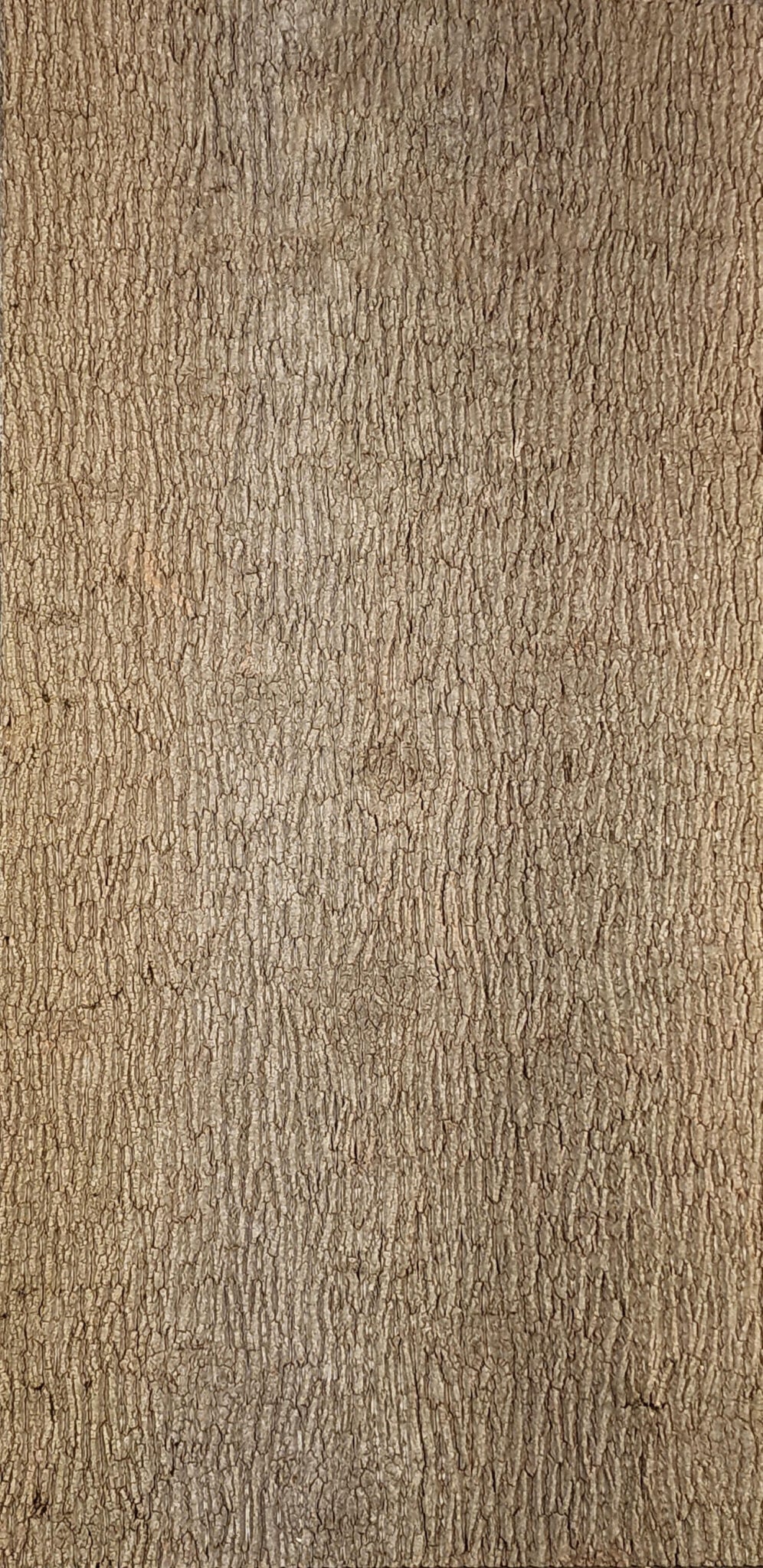 Baumrinde Pappelpaneel STD-23-0039