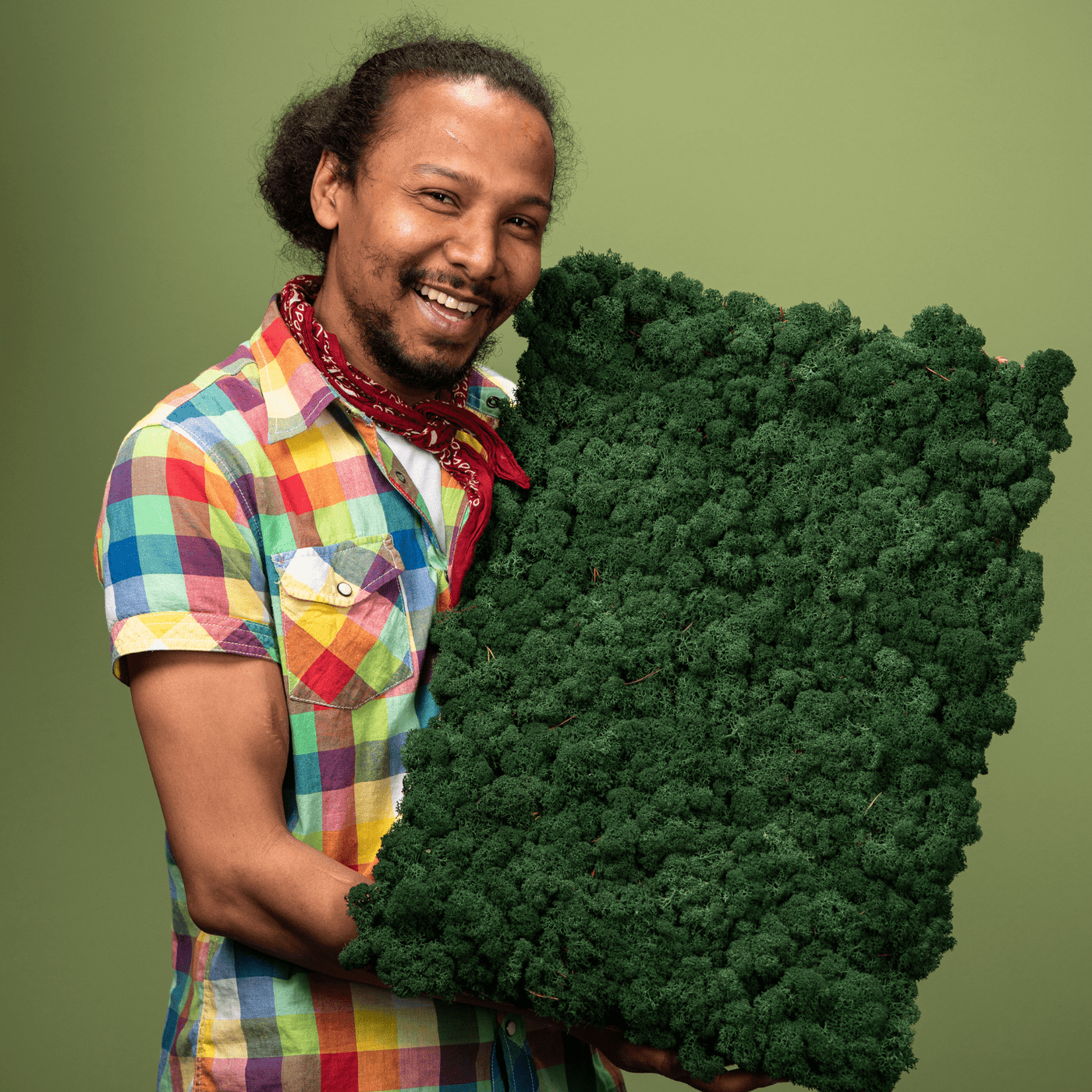 Islandmoosplatte für DIY-Projekte | Waldgrün