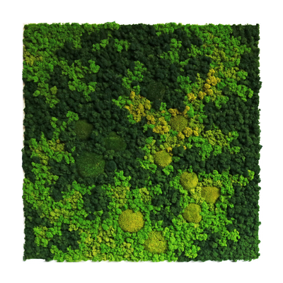 Evergreen Nebula eckig