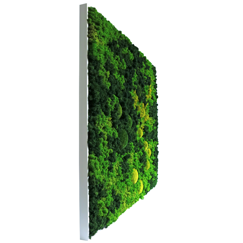 Evergreen Nebula eckig