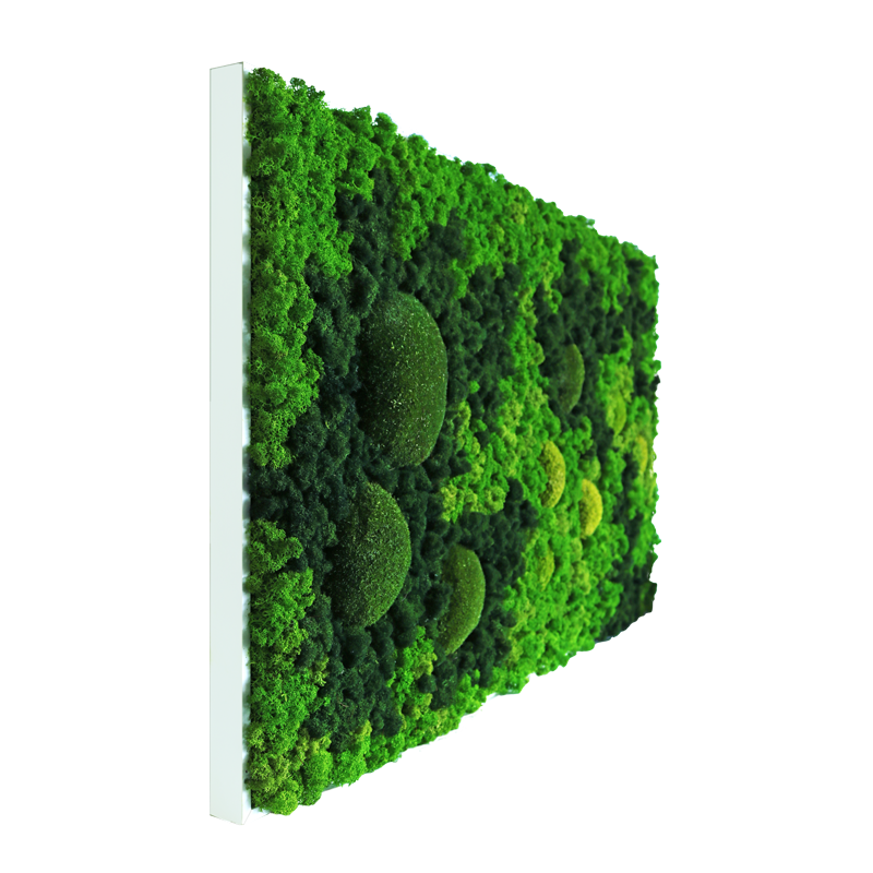 Evergreen Nebula eckig