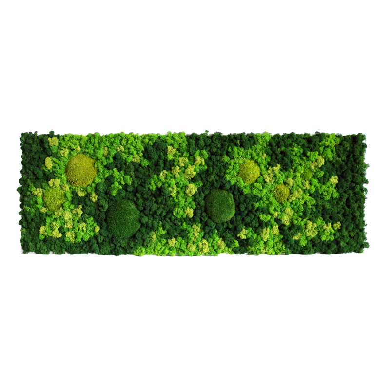 Evergreen Nebula eckig