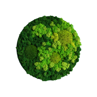 Evergreen Nebula rund