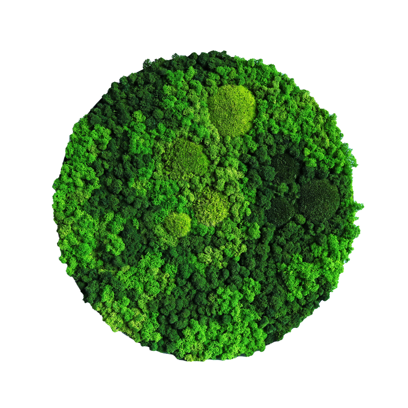 Evergreen Nebula rund