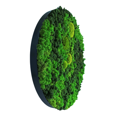 Evergreen Nebula rund