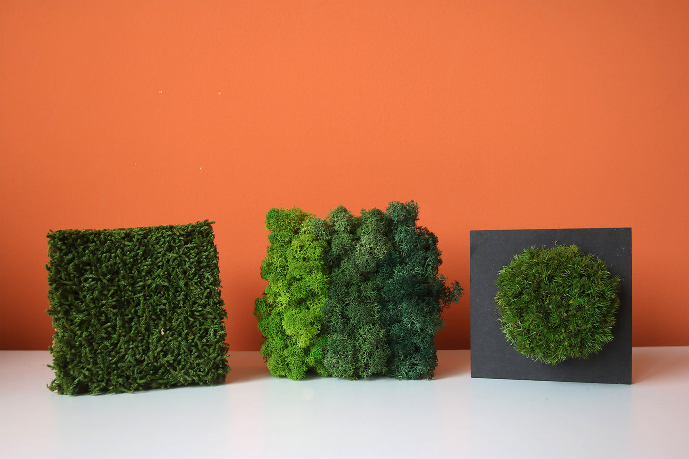 Musterbox Freund GmbH