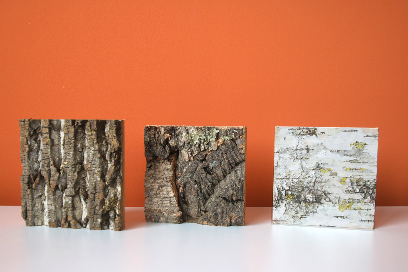 Musterbox Freund GmbH