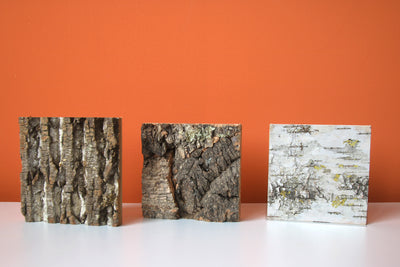 Musterbox Freund GmbH