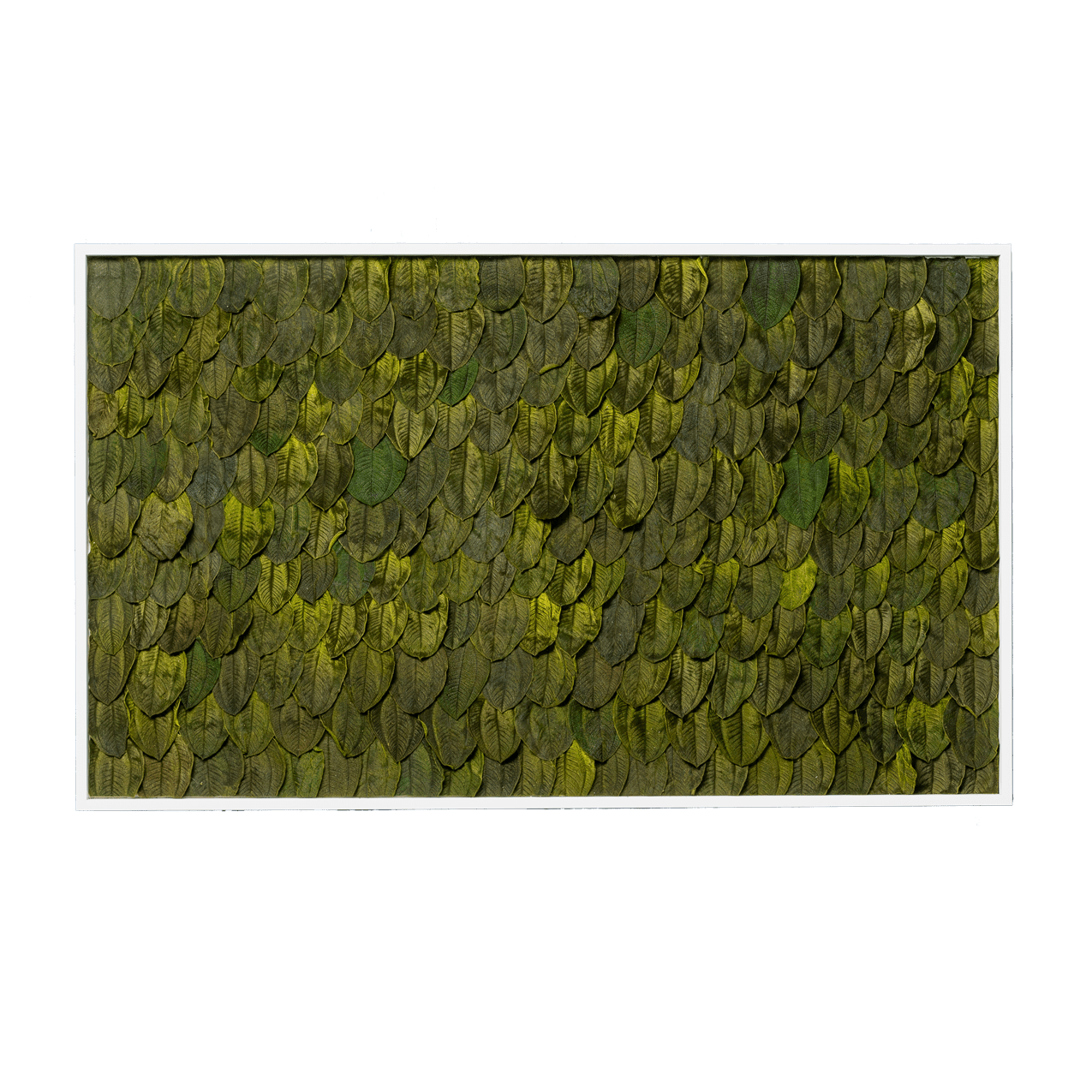 Blätterbild | eckig, grün