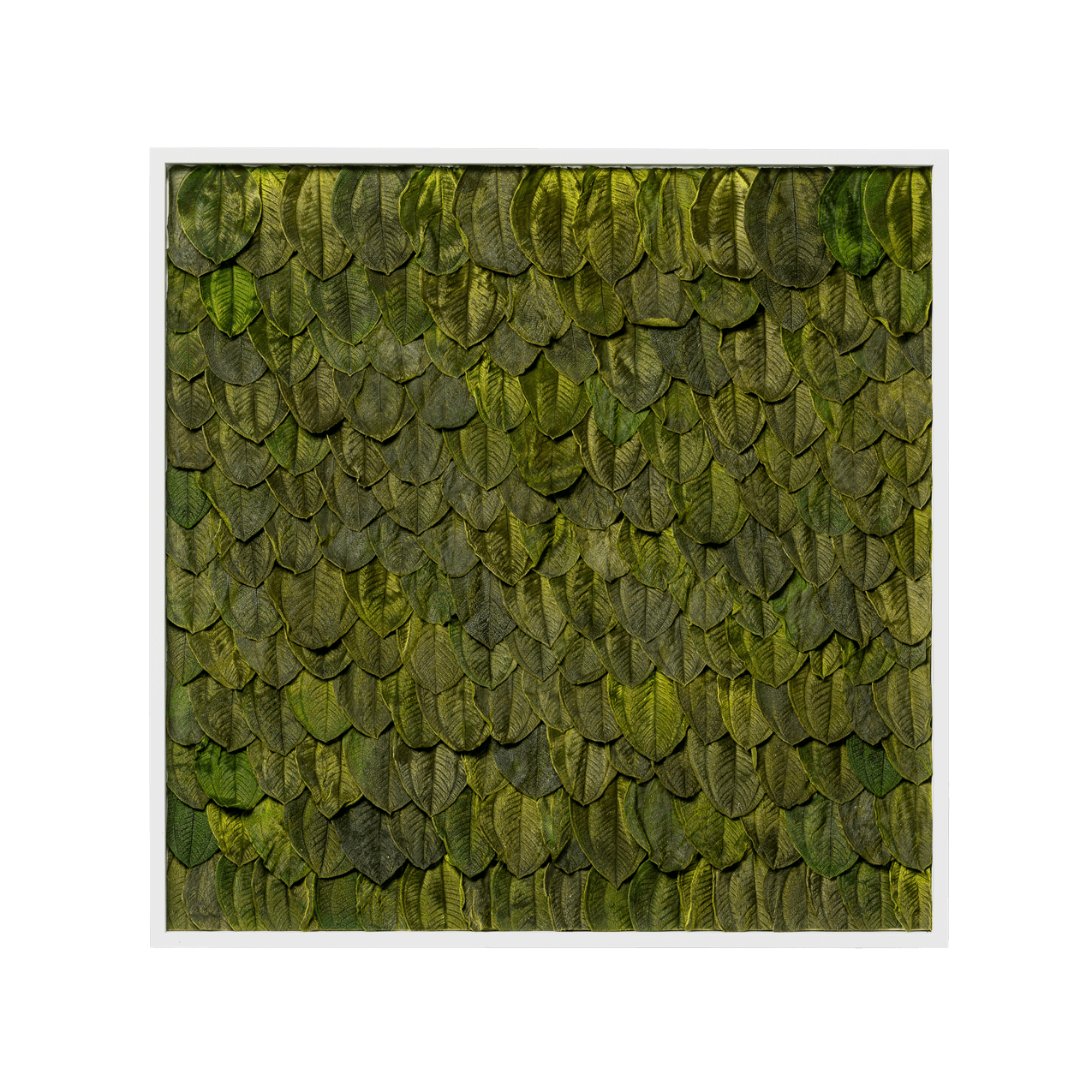 Blätterbild | eckig, grün