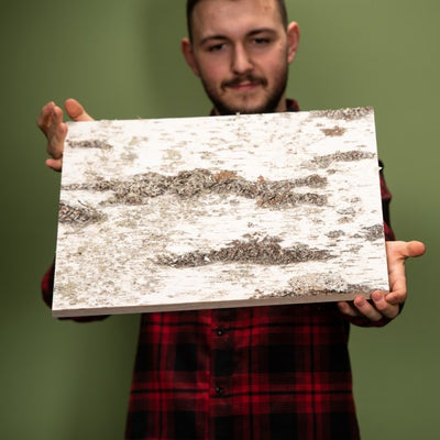 Birkenrindenplatte für DIY-Projekte