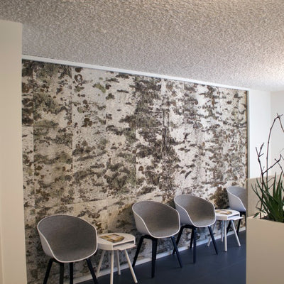 Birkenrindenplatte für DIY-Projekte