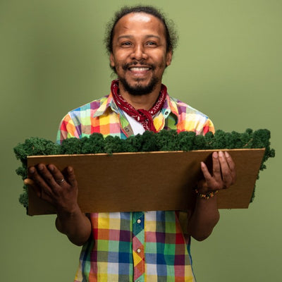 Islandmoosplatte für DIY-Projekte | Waldgrün