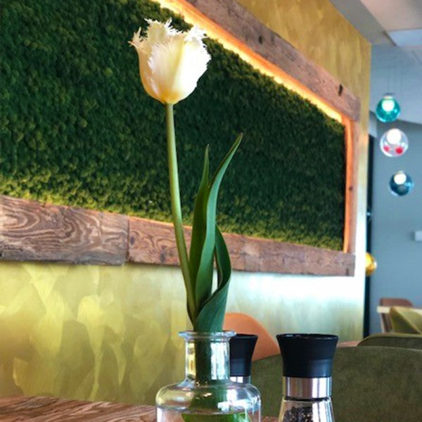 Islandmoosplatte für DIY-Projekte | Waldgrün