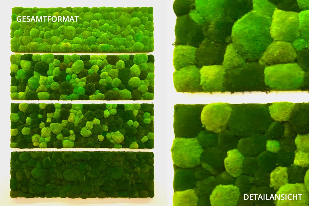Hügelmoos verlauf "Bubbles"