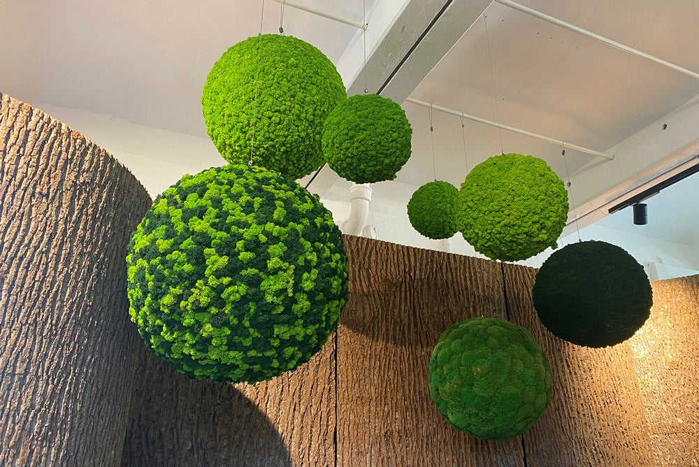 Akustik-Mooskugeln (Ensemble)