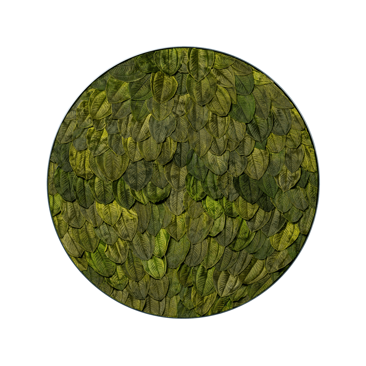 Blätterbild | rund, grün